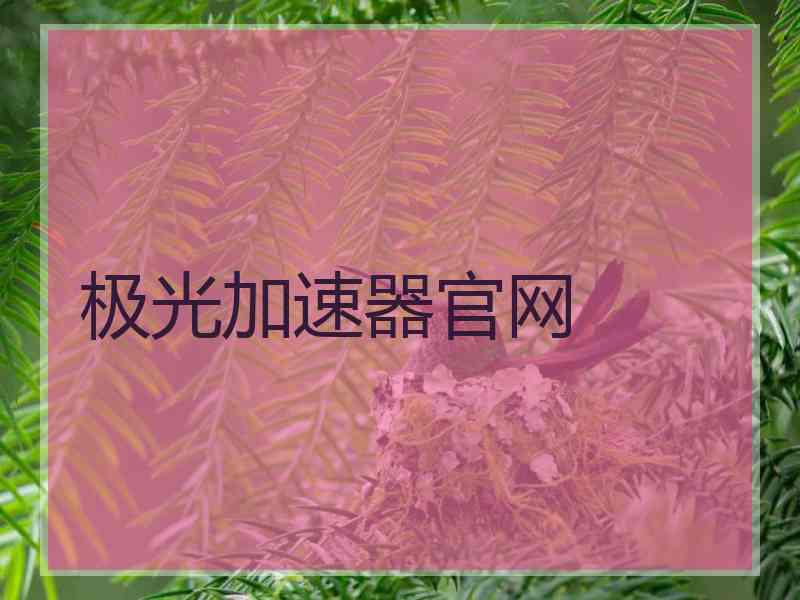 极光加速器官网