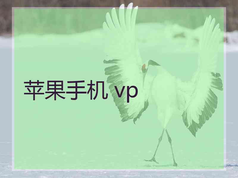 苹果手机 vp